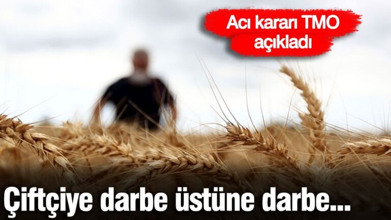 ciftciye-darbe-ustune-darbe-aci-karari-tmo-acikladi-ynyCUtfO.jpg