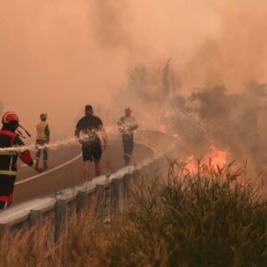 14 ayri noktada orman yangini 7 olu UtfbbSFA