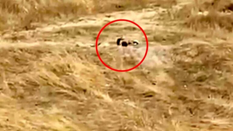 kapaklida uygunsuz hareketler gozaltina alindi fZuTwUvr