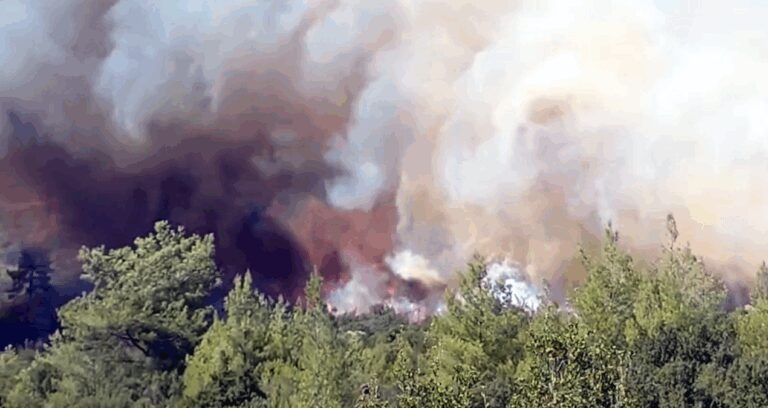 mugla ormanlari alev alev tarlada yakilan aniz atesi ormana sicradi mMIVDfaB