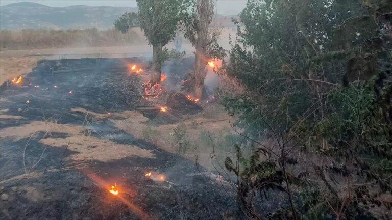 odemiste otluk alanda yangin r2XUAzg5