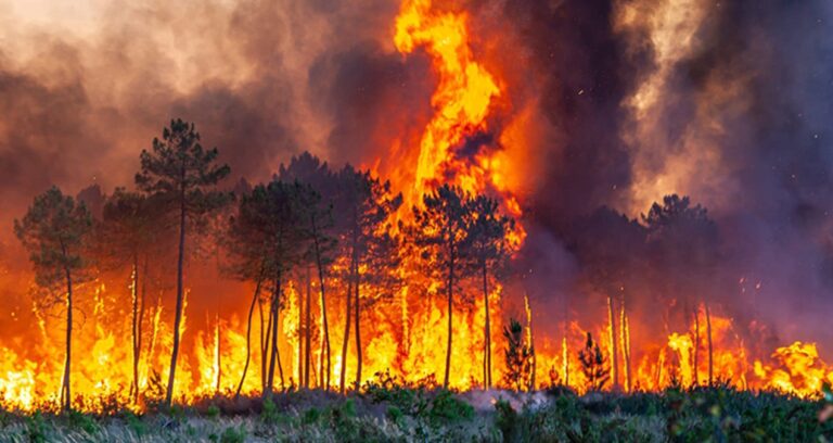 orman yanginlari bitti ama sosyal medyadaki yangin sonmuyor HNlCzExC
