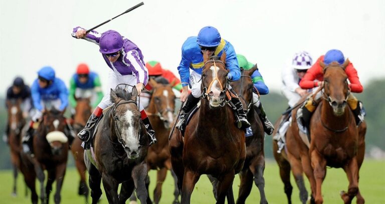 ormanin 4 atlisi Y9AzexMm