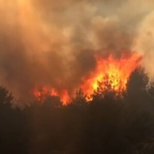 pirindeki orman yangini kontrol altina alindi BwKLpOEX