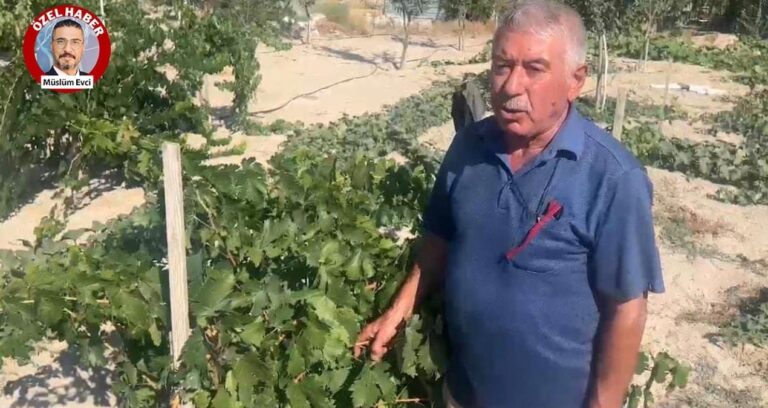aciklanan uzum alim fiyati ureticiyi yikti ciftci bu memleketi terk etsin mi etsin istiyorsunuz 2PONFlNN