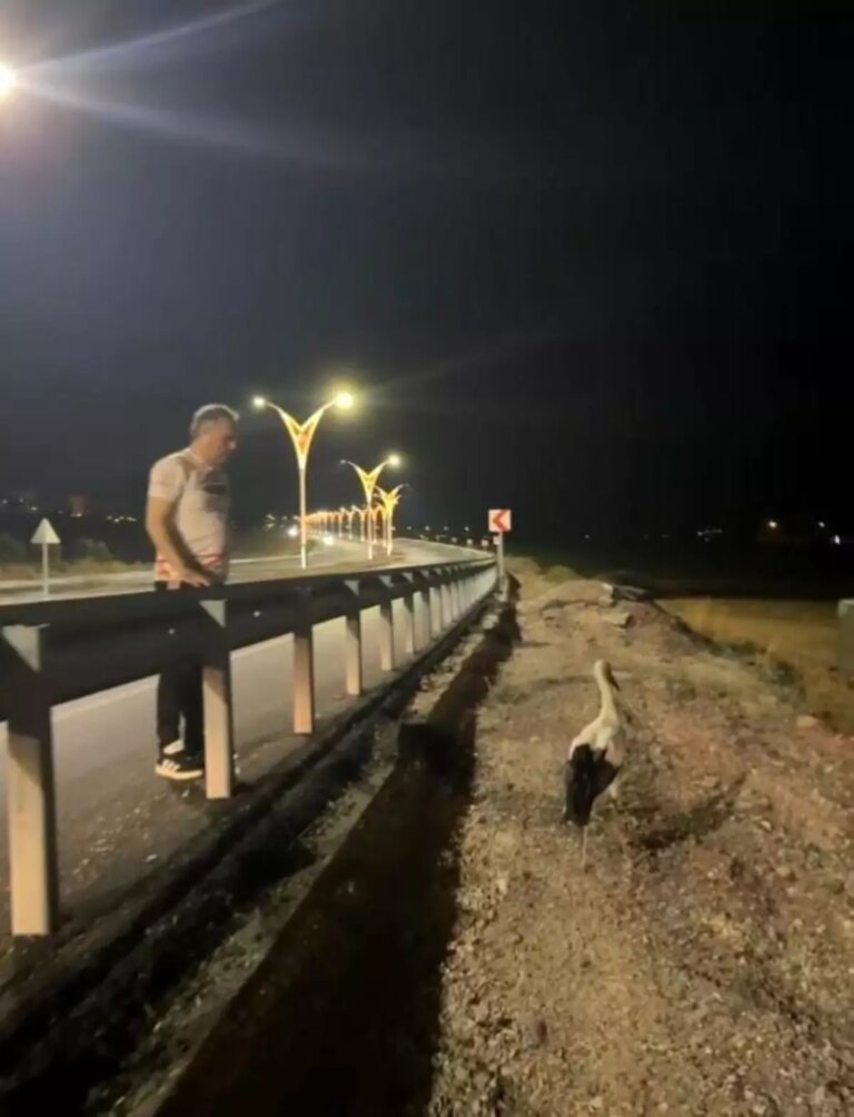 baskan ibrahim cenet yarali leyleklere sahip cikti WnwnTxSH