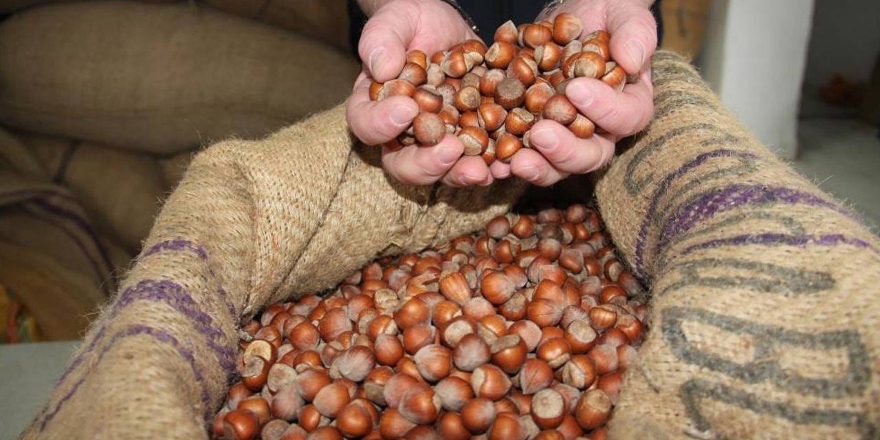 findiktan 1 milyar 610 milyon 163 bin gelir 2M7Zr9SP.jpg