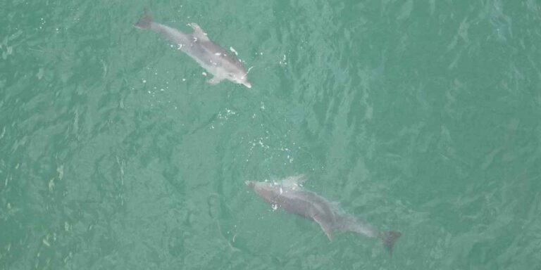 karadenizde goruntulendi hem de 3 tane birden vInArTUD.jpg