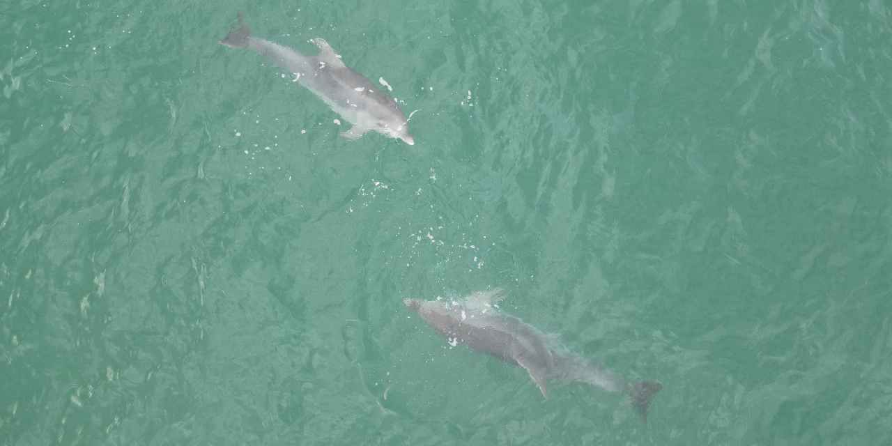 karadenizde goruntulendi hem de 3 tane birden vInArTUD.jpg