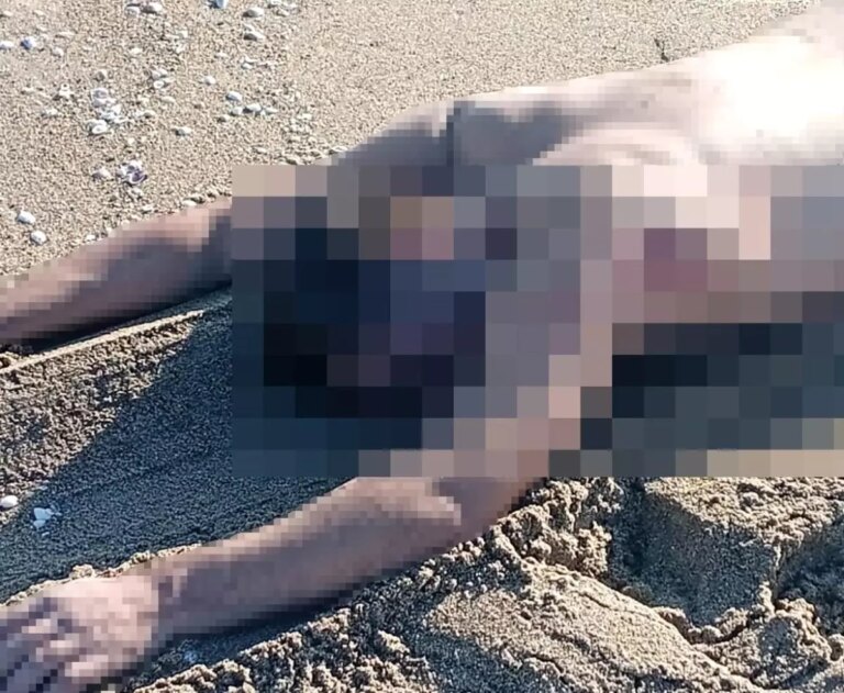 sakaryada ciplak erkek cesedi bulundu Hv71YkPz