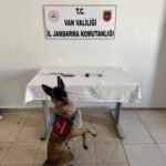 vanda uyusturucu hap operasyonu w2hS3Fkt