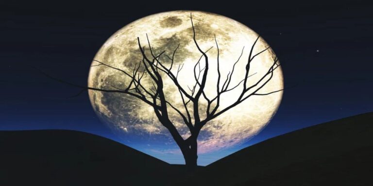 5 kasimda boga burcundaki dolunay neler geliyor neler gidiyor 2bq2Aq1D.jpg