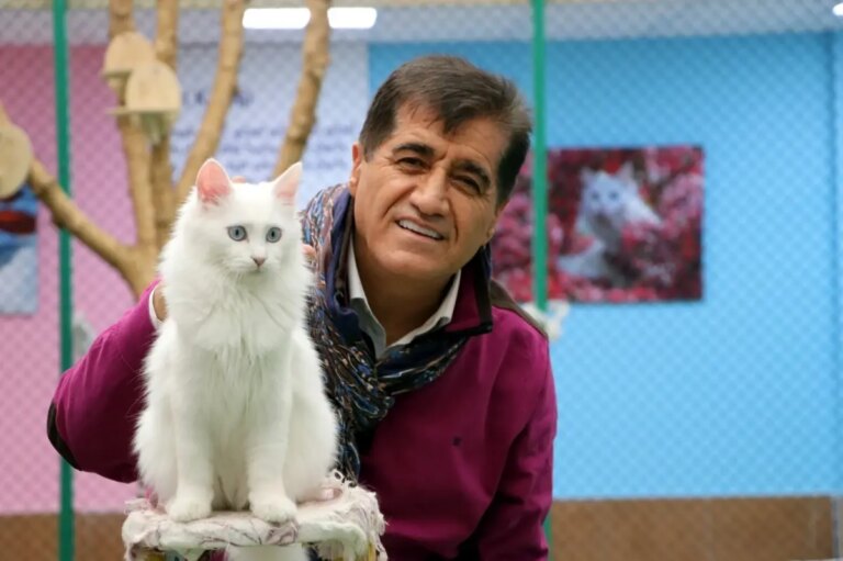 sanatci aydin aydin nesli tukenmekte olan van kedisiyle duet yapti OiE8Ygcd.jpg