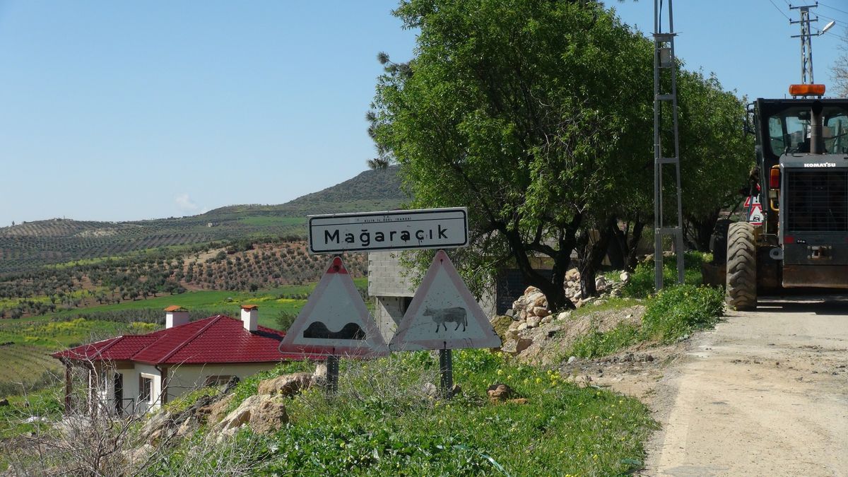 Kilis’te Şiddetli Yağışlar Hayvanları Vurdu: 40 Koyun Telef Oldu