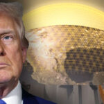 trumpin-altin-kubbesi-servet-degerinde-c5DHsdZl