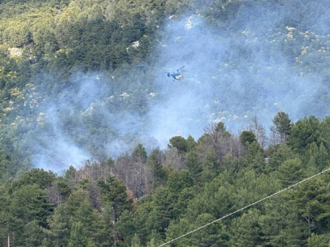 Kaş’ta orman yangını: Havadan ve karadan müdahale başlatıldı