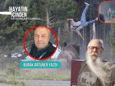 Bir milli parkta yasli bir adami boynuzlarinin gucuyle havaya firlatan bir bizon ve sonrasinda MNWGWsms