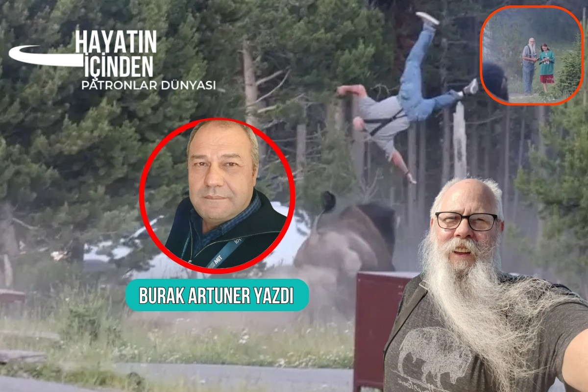 Bir milli parkta yasli bir adami boynuzlarinin gucuyle havaya firlatan bir bizon ve sonrasinda MNWGWsms