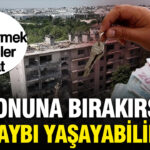 Haber gorseli